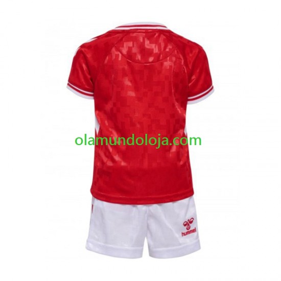Camisola Dinamarca Criança Equipamento Primeiro Euro 2024 Manga Curta